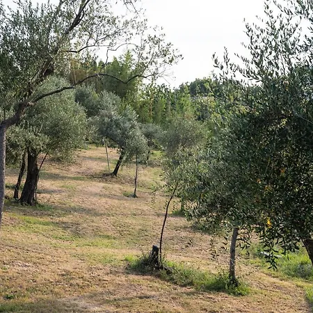 Smeralda - Luxury On The Italian Riviera לאווניה
